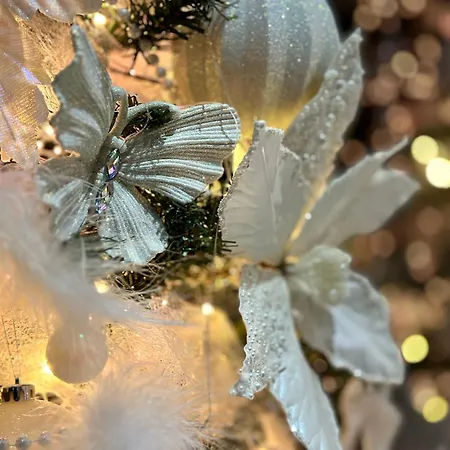 The Hidden Bank: Silver Bullet * بلوفديف